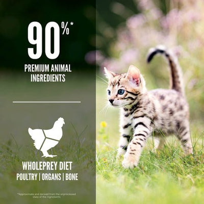 Kitten Formula - Dry Cat Food - Orijen - PetToba-ORIJEN
