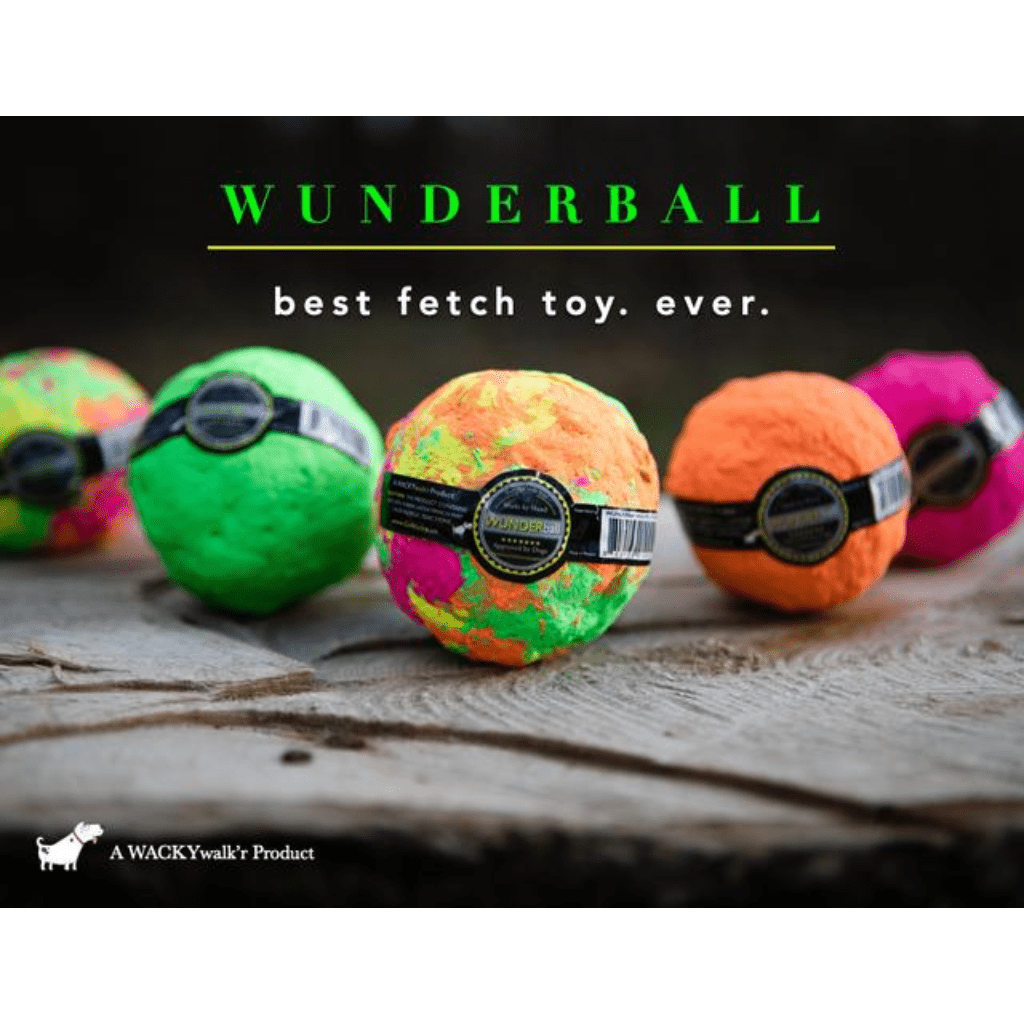 Best Fetch Ball Wunderball