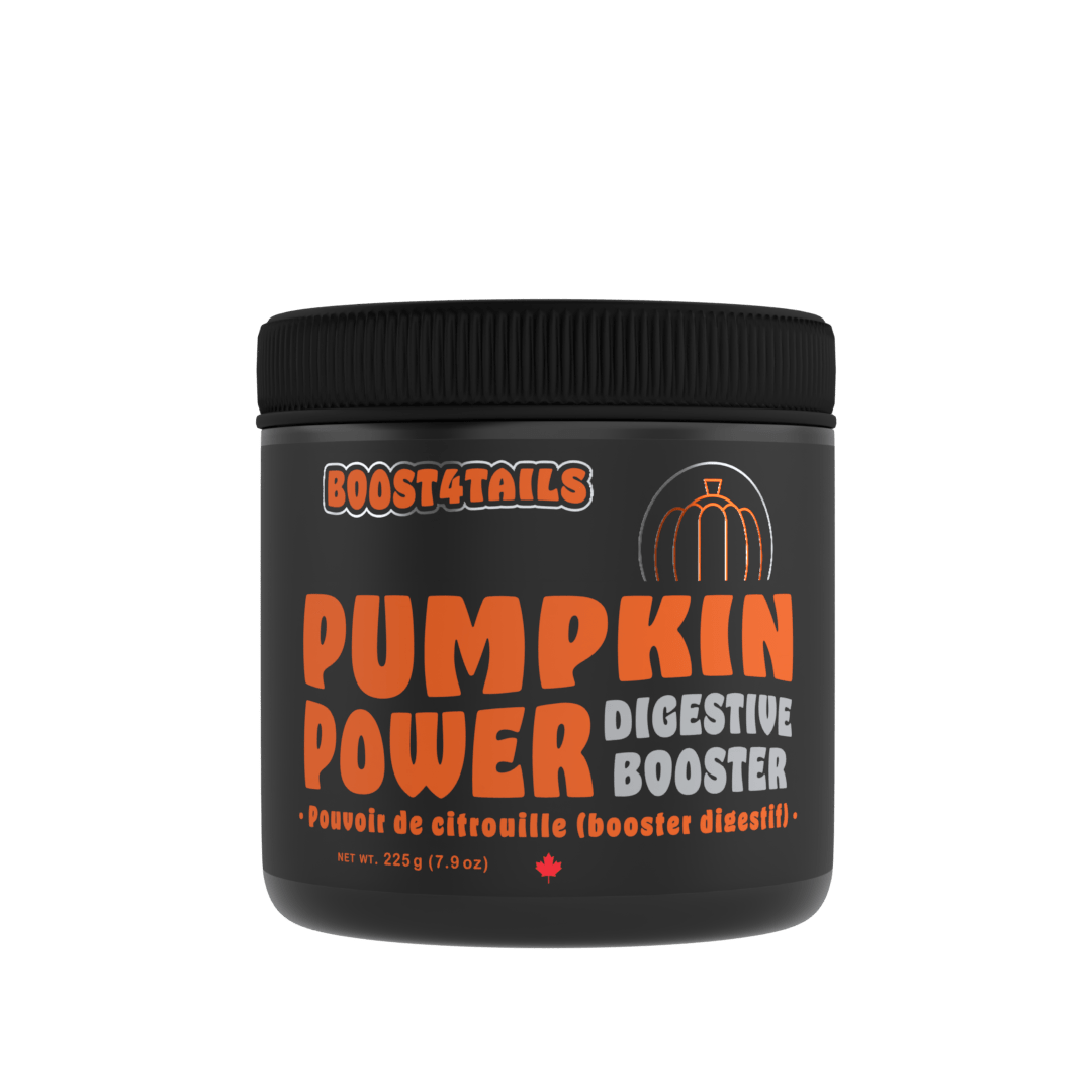 Boost 4 Tails: Pumpkin Powder Supplement - Dogs & Cats - Hemp4Tails