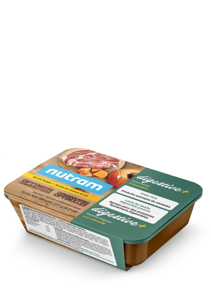Digestive Dog Lamb Recipe with Pumpkin Wet Dog Food Nutram