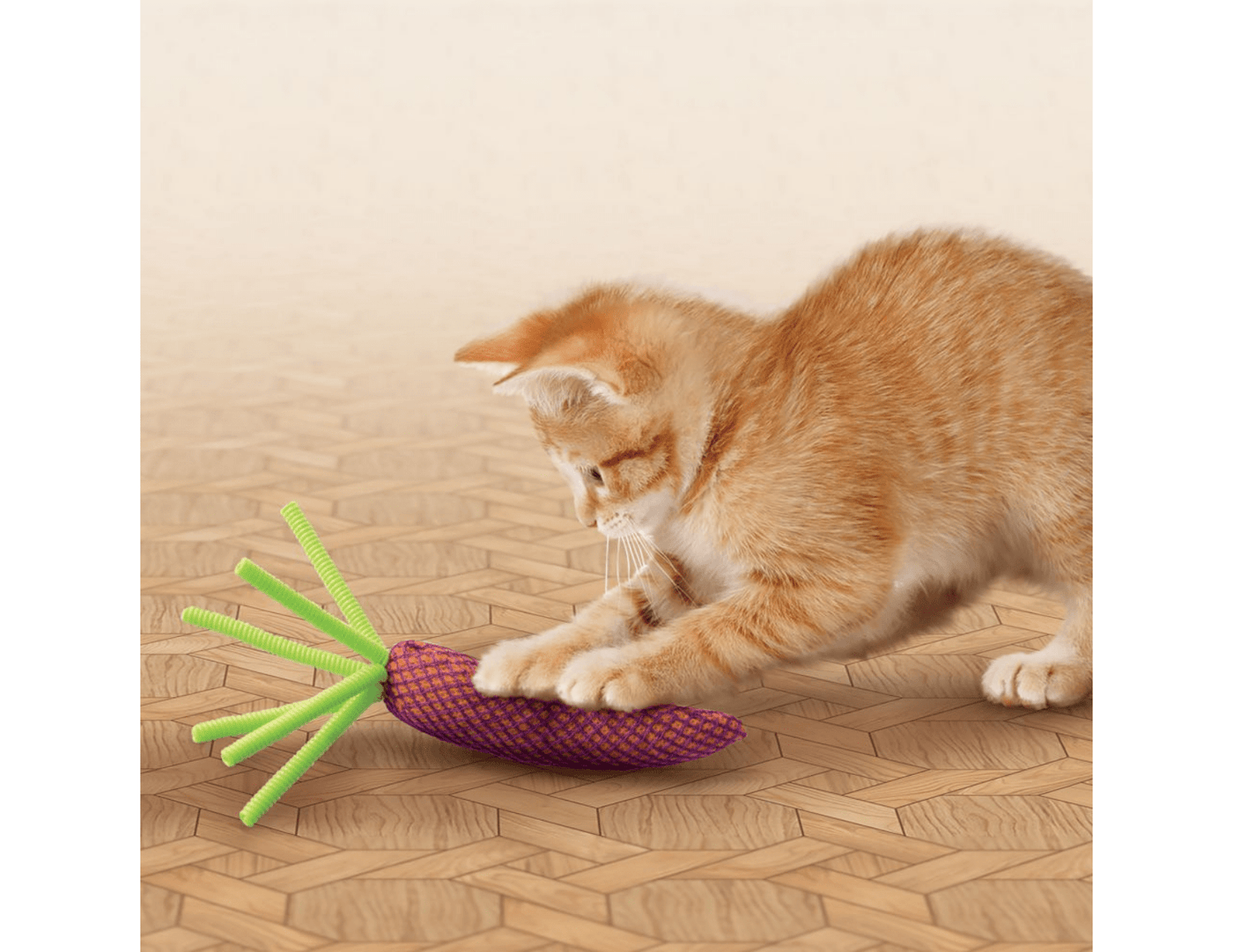 Nibble Carrots Cat Toy - KONG - PetToba-KONG