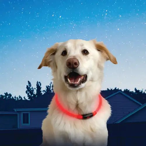 Nitehowl Led Safety Necklace Safety Necklace Nite Ize PetToba