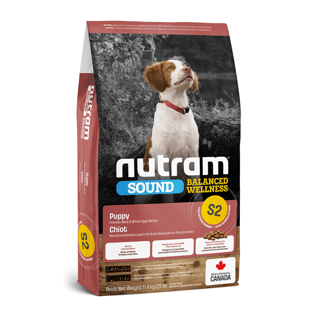 Nutram senior 2024 dog food