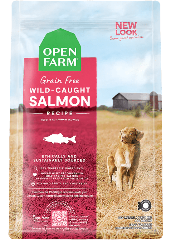Non grain free dry dog deals food