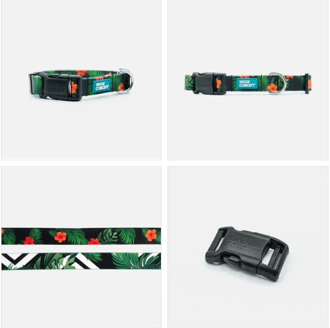 Woof Concept Collar Ikonic Maui 2 - Woof Concept - PetToba-Woof Concept