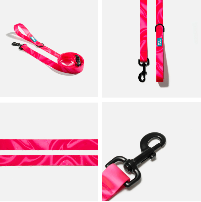 WOOF CONCEPT Aqua Cosmopolitan Leash M Real dog parents. Real