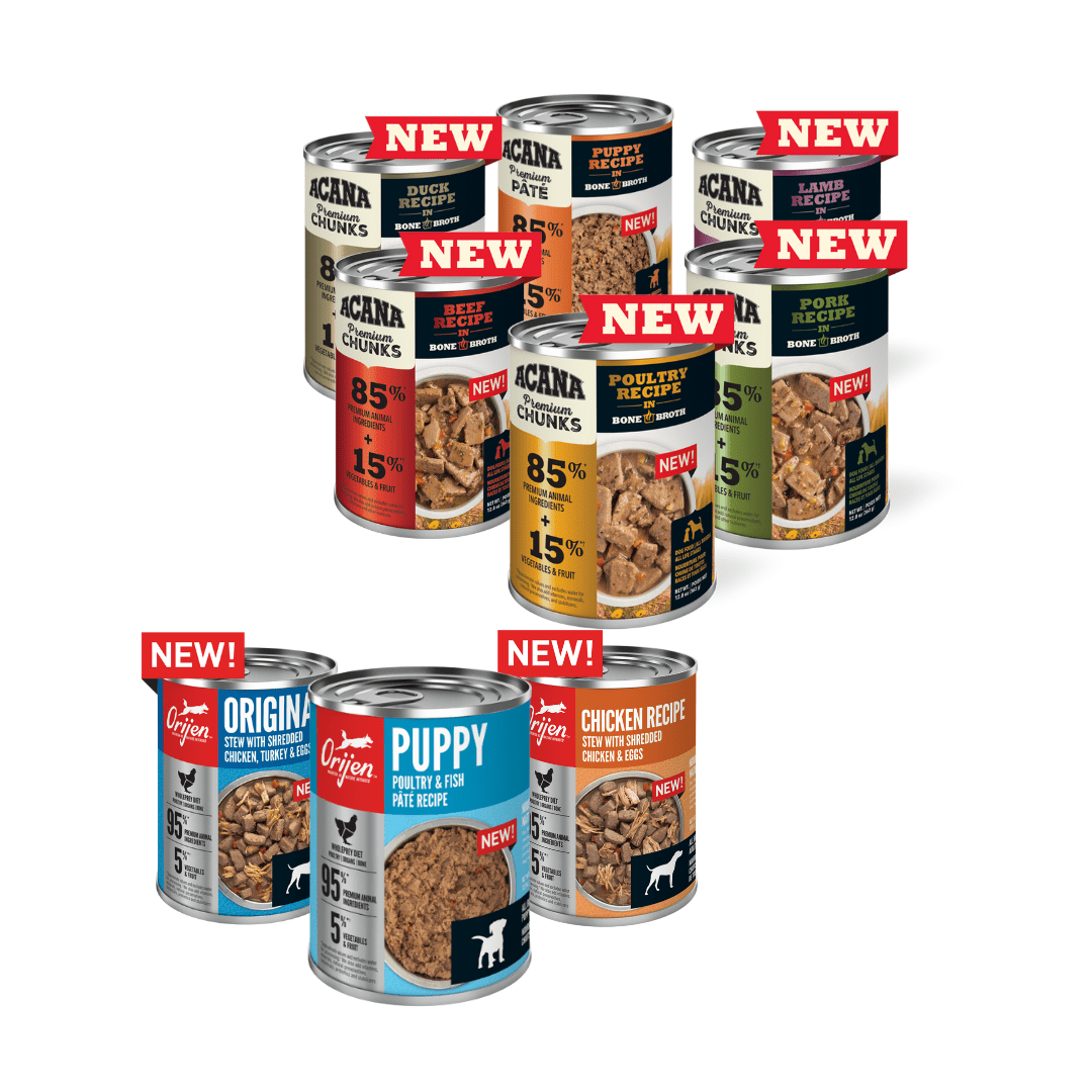 Wet Dog Food Page 5 PetToba