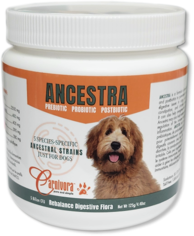 Ancestra (Prebiotic-Probiotic-Postbiotic) - Dog Supplement - Carnivora