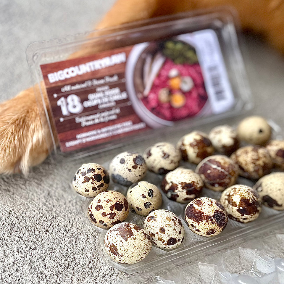 Quail Eggs - Frozen Raw Dog & Cat Treats - Big Country Raw