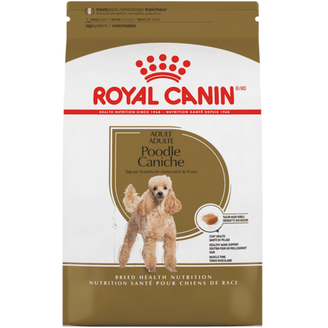 Adult Poodle - Dry Dog Food - Royal Canin - PetToba - Royal Canin