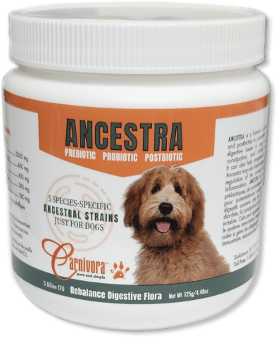 Ancestra - Dog Supplements - Carnivora - PetToba - Carnivora