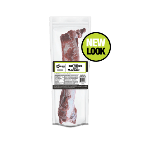 Beef Rib Bone - 1 PC - Frozen Raw Dog Chew - Iron Will Raw - PetToba - Iron Will Raw