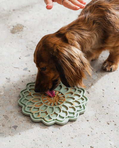 Blossom Flower Enrichment Licking Mat - Dog Supplies - Dexypaws - PetToba - Dexypaws