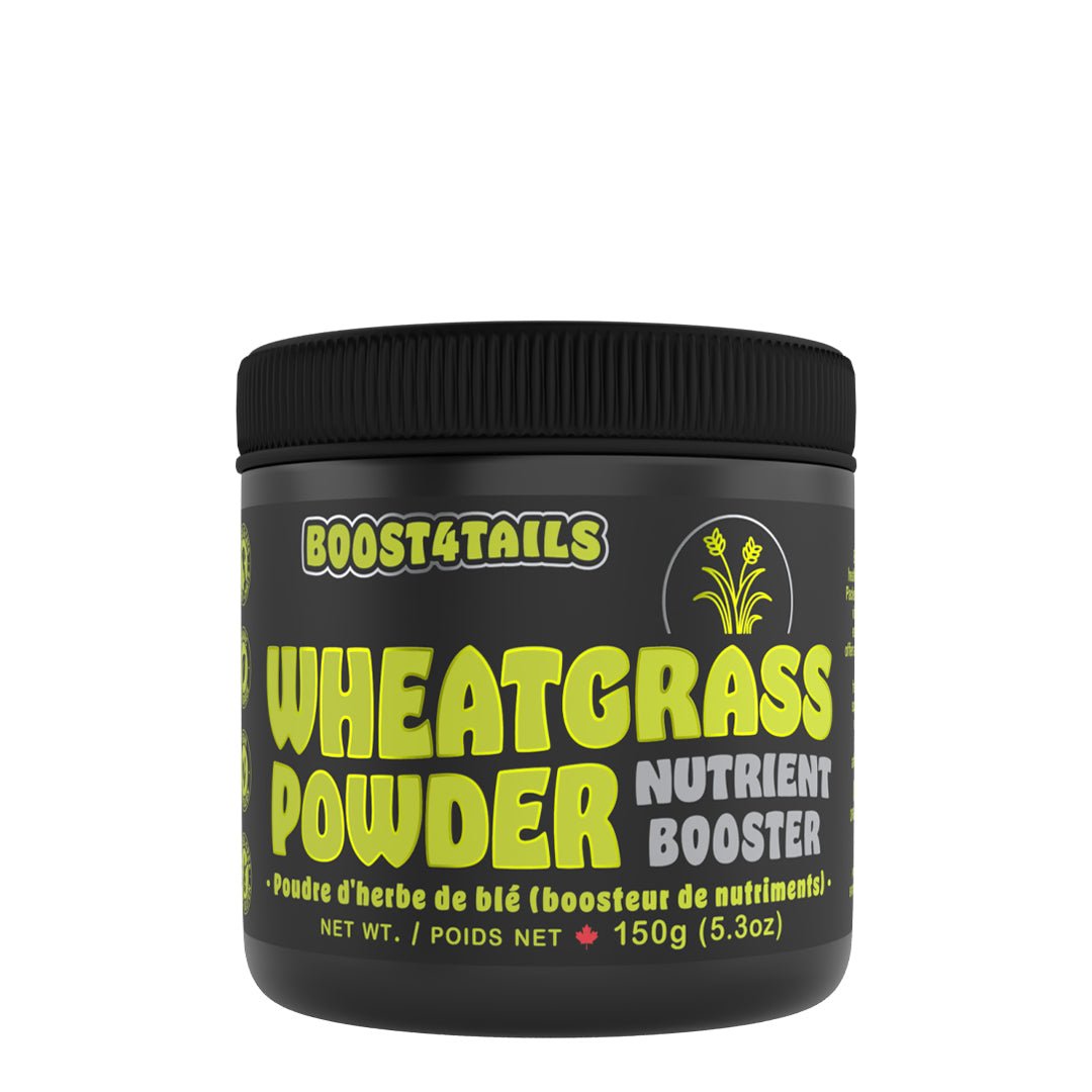 Boost 4 Tails: Wheat Grass Powder - Dogs & Cats - Hemp4Tails - PetToba - Hemp4Tails