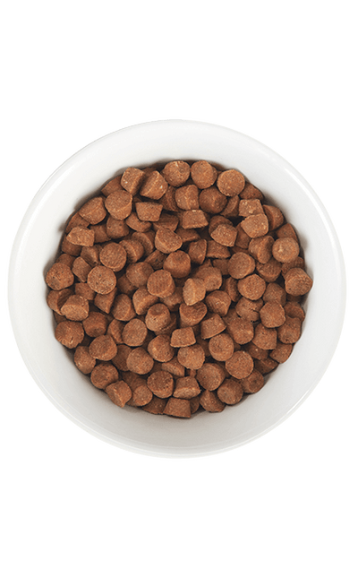 Born Carnivore Baby Kitten Health Deboned Chicken & Egg - Dry Cat Food - Tiki Cat - PetToba - Tiki Cat