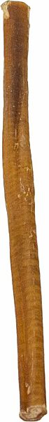 Buffalo Bully Stick 12" - Dog Treats - Silver Spur Natural Pet Treats - PetToba - Silver Spur Natural Pet Treats