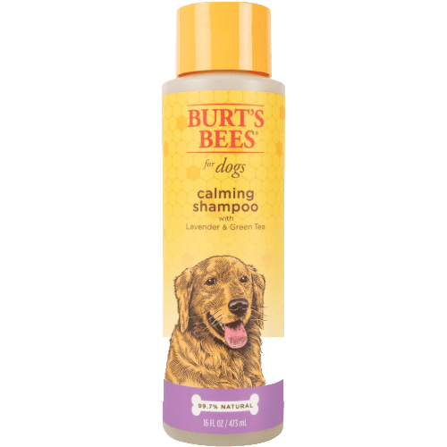 Calming Shampoo with Lavender & Green Tea - Burt’s Bees - PetToba - Burt’s Bees