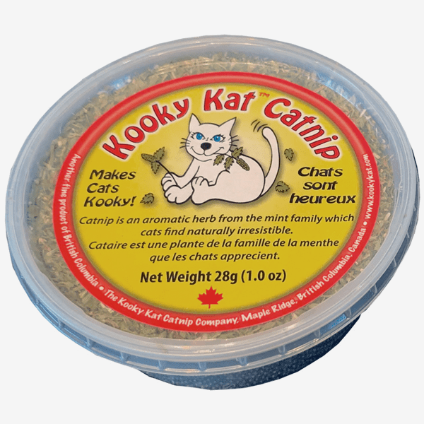 Catnip Leaf and Flowers Tub - Kooky Kat - PetToba - Kooky Kat