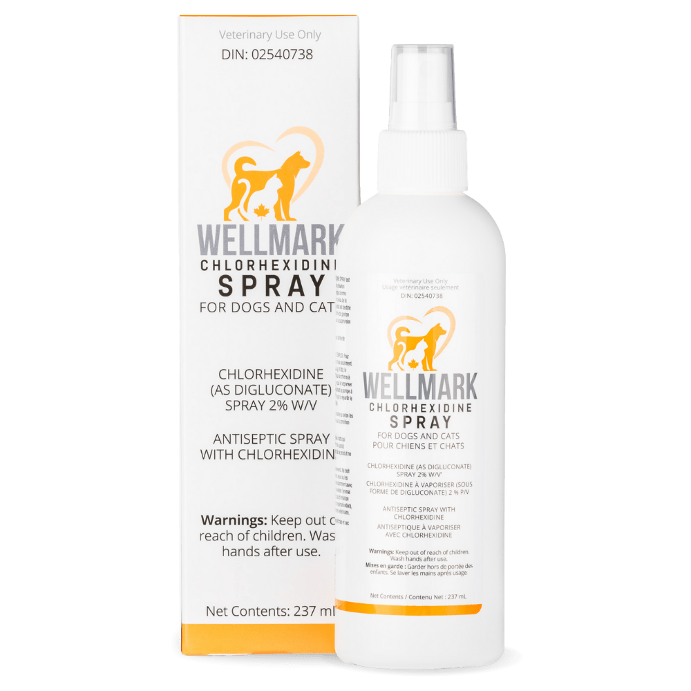 Chlorhexidine Spray for Skin Infections - Dogs & Cats - Wellmark - PetToba - Wellmark