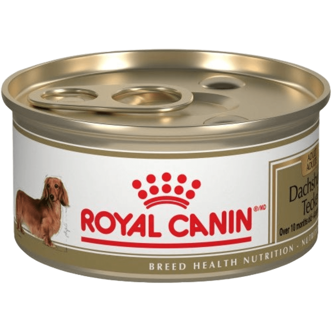 Dachshund Loaf In Sauce - Wet Dog Food - Royal Canin - PetToba - Royal Canin