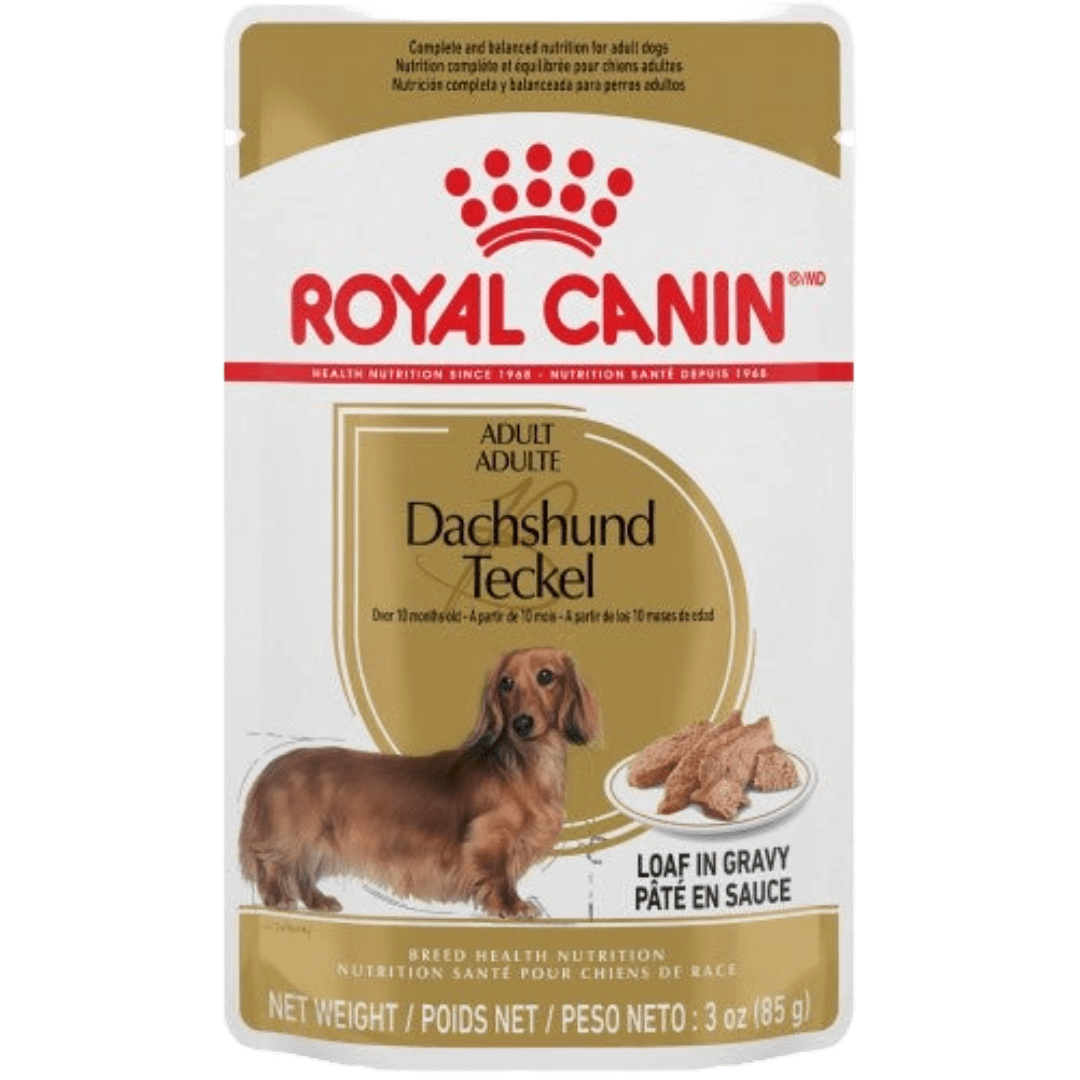 Dachshund Pouch Dog Food - Wet Dog Food - Royal Canin - PetToba - Royal Canin