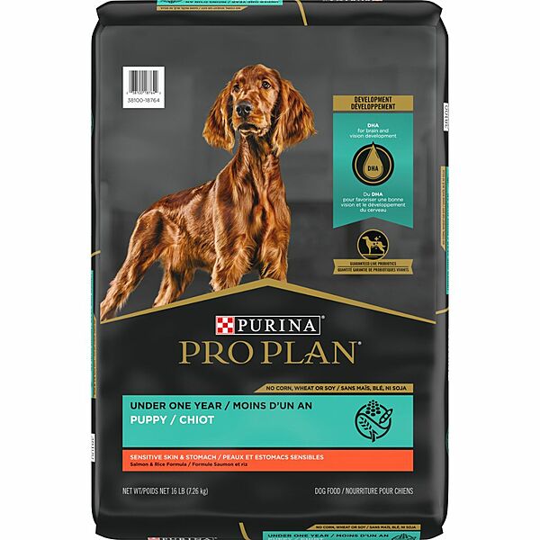 Development Salmon & Rice Puppy - Dry Dog Food - Purina Pro Plan - PetToba - Purina