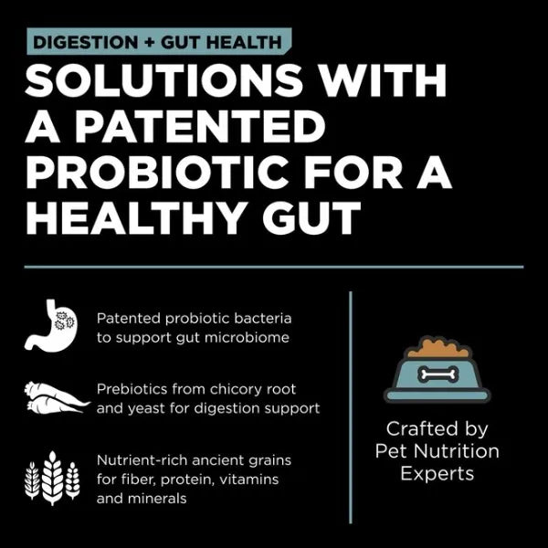 Digestion+Gut Health Chicken with Ancient Grains - Dry Dog Food - Go! Solutions - PetToba - Go! Solutions