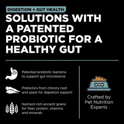 Digestion+Gut Health Chicken with Ancient Grains - Dry Dog Food - Go! Solutions - PetToba - Go! Solutions