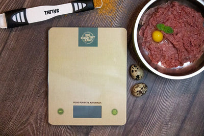 Digital Kitchen Scale - Pet Supplies - Big Country Raw - PetToba - Big Country Raw
