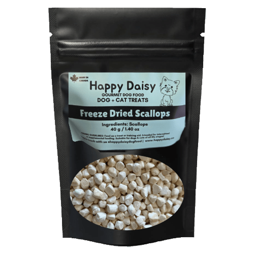 Freeze Dried Scallops - Happy Daisy - PetToba - Happy Daisy