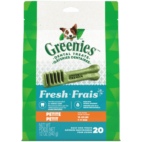 Fresh Petite Dog Dental Treats 20CT | 12OZ - Greenies - PetToba - Greenies