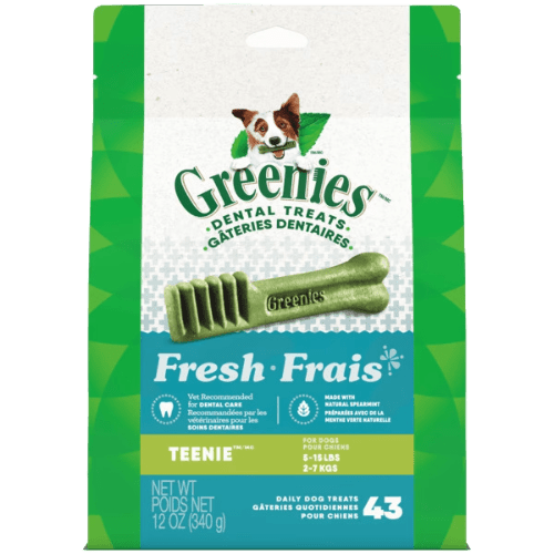 Fresh Teenie Dog Dental Treats 43CT | 12OZ - Greenies - PetToba - Greenies