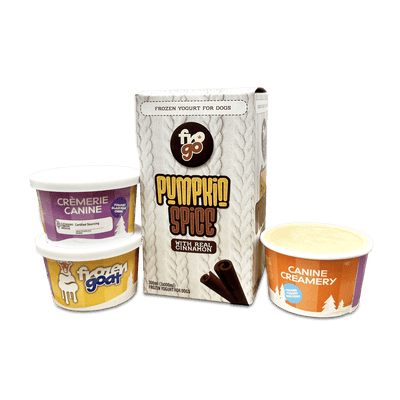 FroGo Pumpkin Spice - Frozen Raw Dog Treats - Big Country Raw - PetToba - Big Country Raw