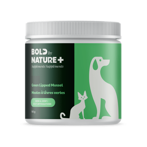 Green Lipped Mussel - Dogs & Cats Supplement - Bold By Nature - PetToba - Bold By Nature