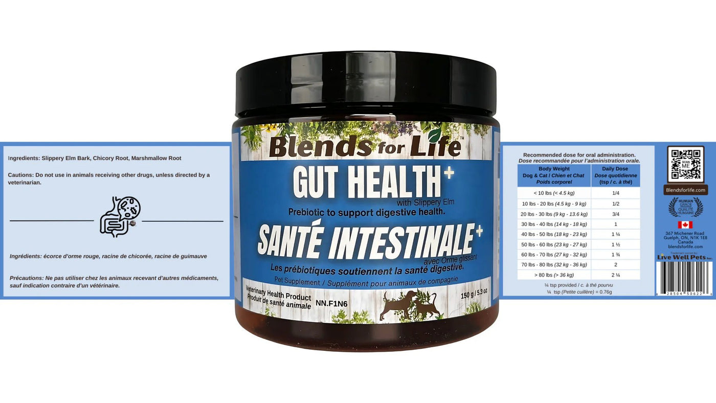 Gut Health+ - Dog & Cat Supplements - Blends for Life - PetToba - Blends for Life