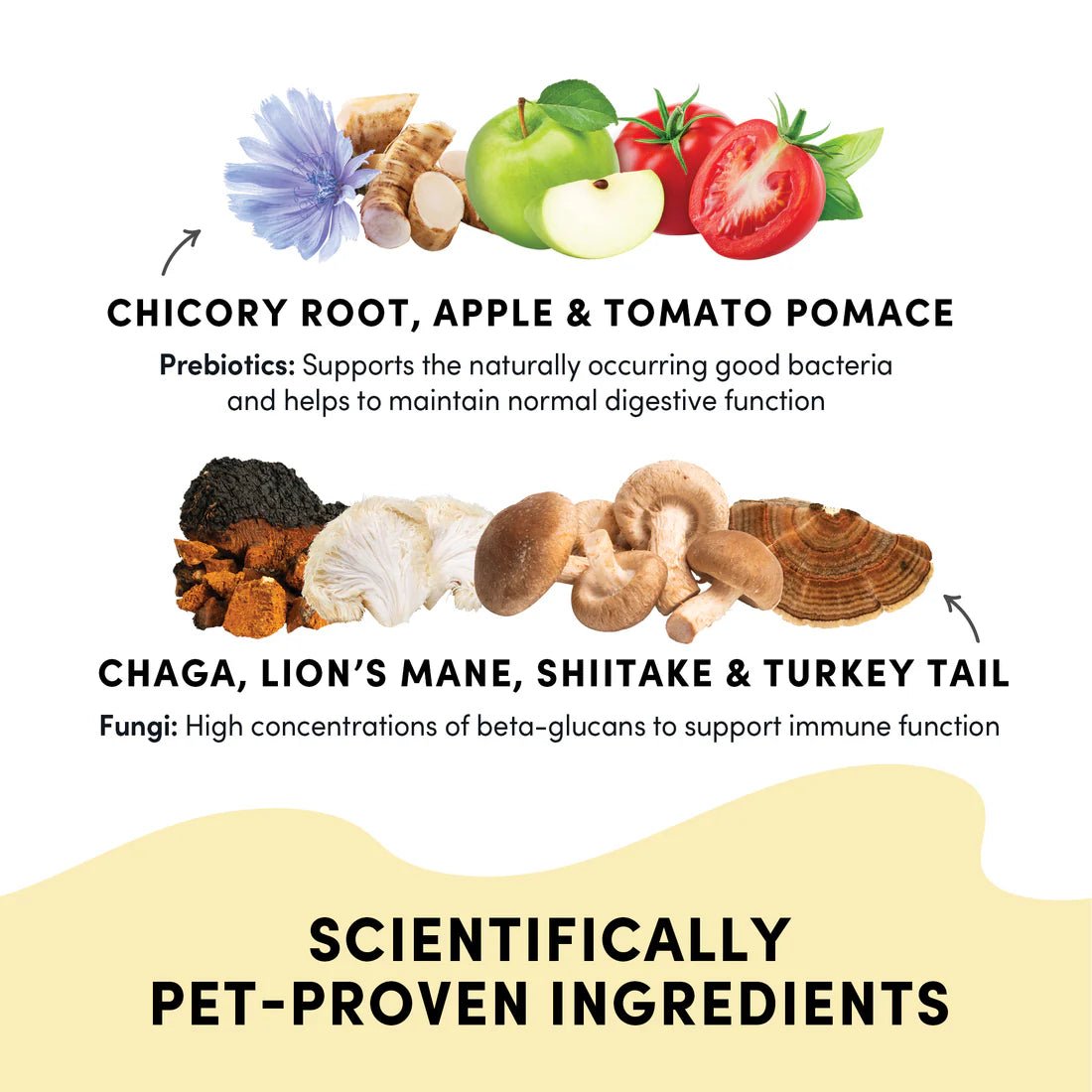 Gutsy Immune Bites - Dog Treats - Crumps' Naturals - PetToba - Crumps' Naturals