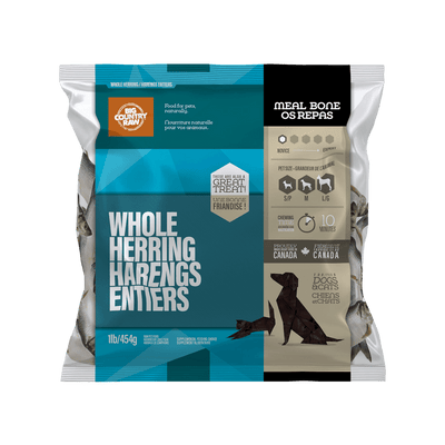 Herring - Frozen Raw Dog & Cat Treats - Big Country Raw - PetToba - Big Country Raw