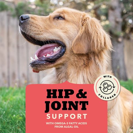 Hip & Joint Chewy Strips With Beef - Dog Treats - Acana - PetToba - ACANA