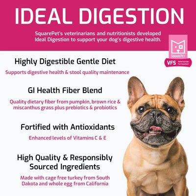 Ideal Digestion Formula - Dry Dog Food - SquarePet - PetToba - SquarePet