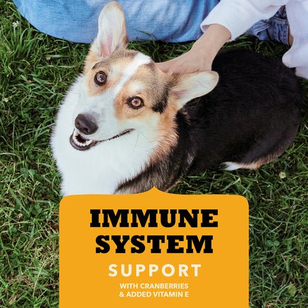 Immune System Chewy Strips With Chicken - Dog Treats - Acana - PetToba - ACANA