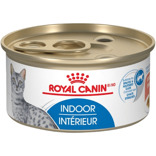 Indoor Adult Morsels in Gravy Canned - Wet Cat Food - Royal Canin - PetToba - Royal Canin