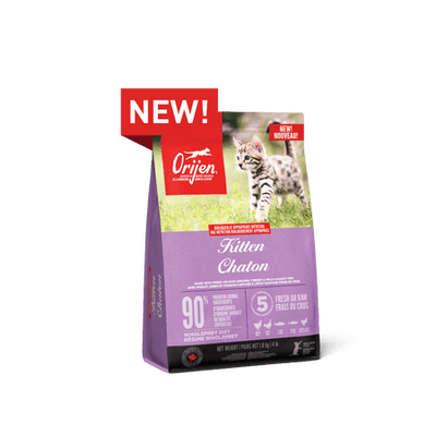 Kitten Formula - Dry Cat Food - Orijen - PetToba-ORIJEN