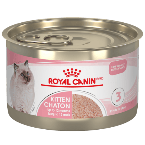 Kitten Loaf In Sauce Canned - Wet Cat Food - Royal Canin - PetToba - Royal Canin