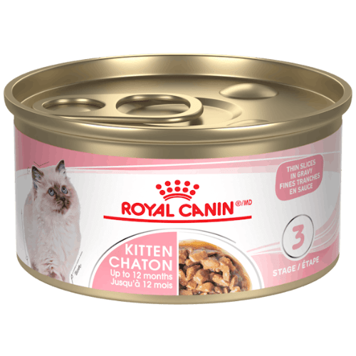 Kitten Thin Slices In Gravy Canned - Wet Cat Food - Royal Canin - PetToba - Royal Canin