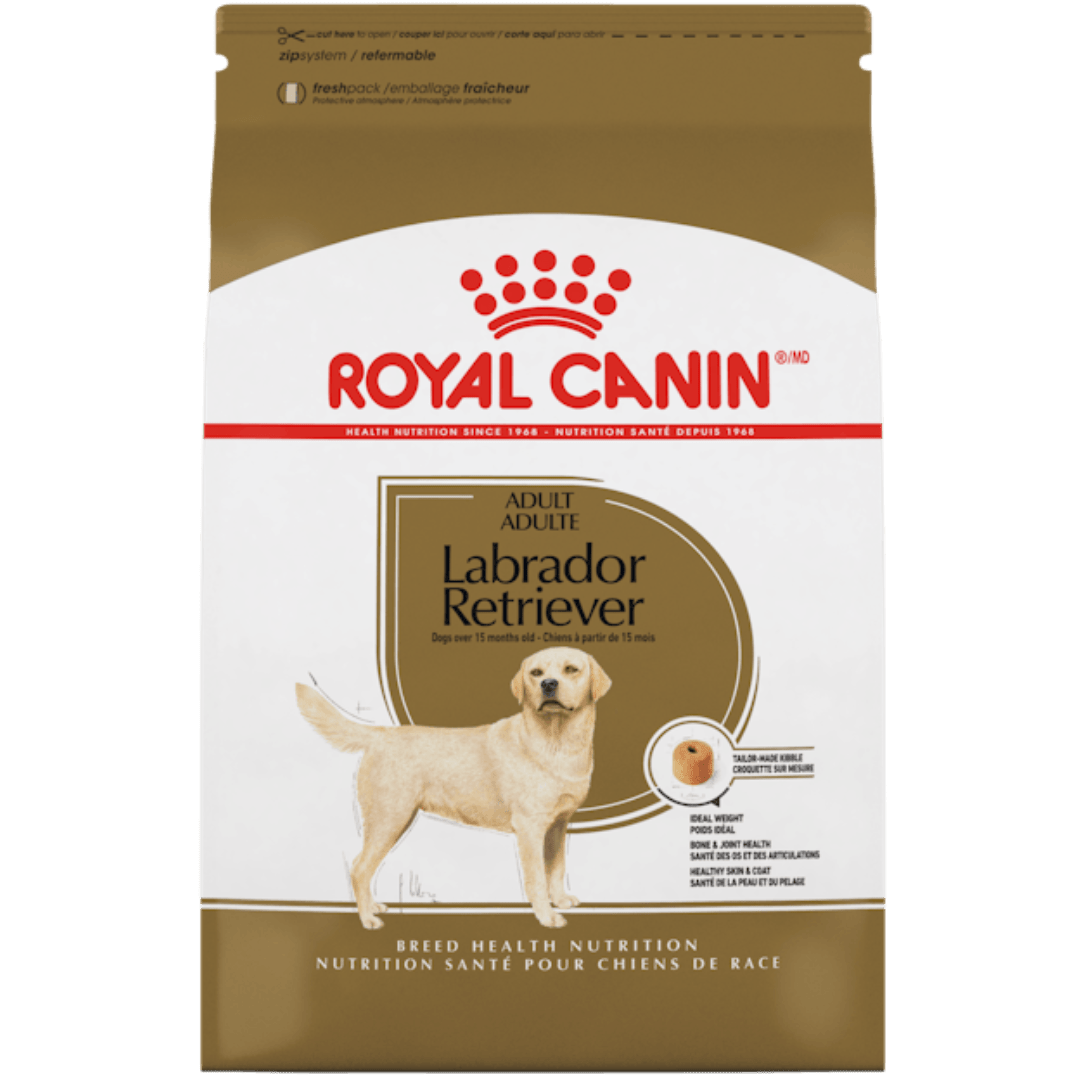 Labrador Retriever Adult - Dry Dog Food - Royal Canin - PetToba - Royal Canin