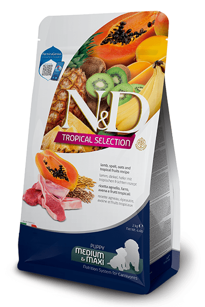 Lamb, Spelt, Oats And Tropical Fruits Puppy Medium & Maxi - Dry Dog Food - Farmina - PetToba-Farmina