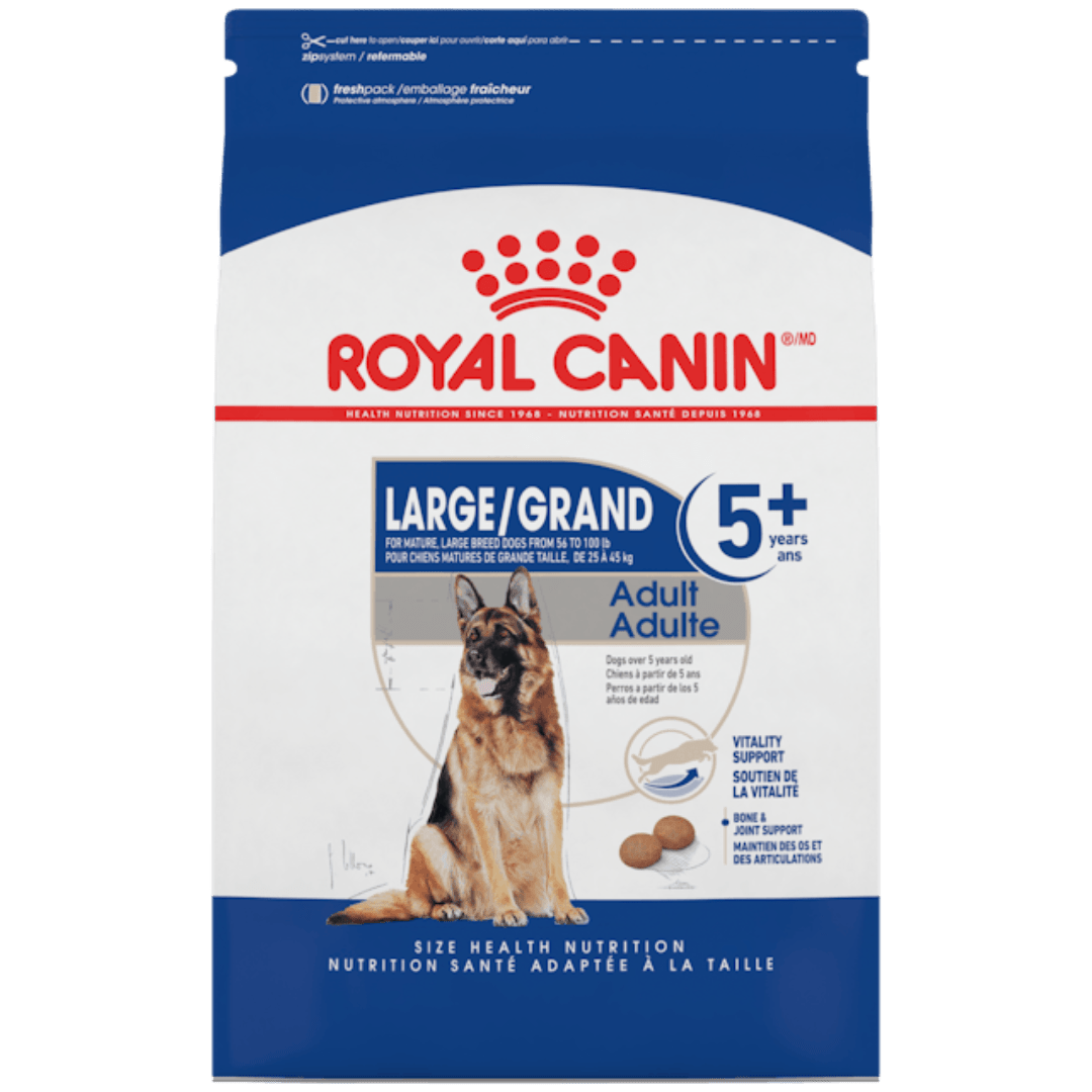 Large Adult 5+ - Dry Dog Food - Royal Canin - PetToba - Royal Canin