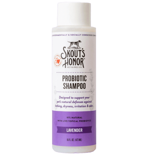 Lavender Probiotic Dog/Cat Shampoo - Skout's Honor - PetToba - Skout's Honor