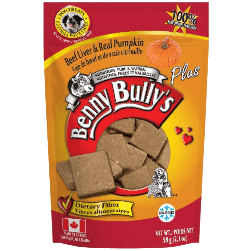 Liver Plus Pumpkin Dog Treats 58 gm - Benny Bullys - PetToba - Benny Bullys