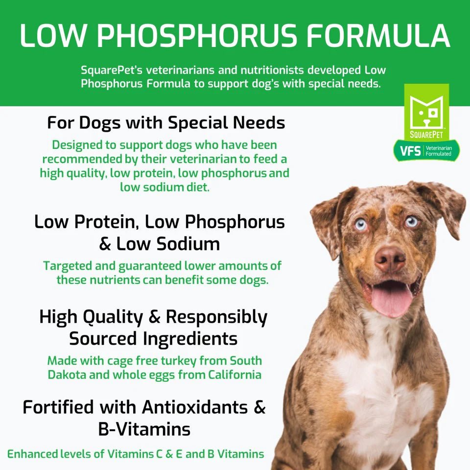 Low Phosphorous Formula - Dry Dog Food - SquarePet - PetToba - SquarePet